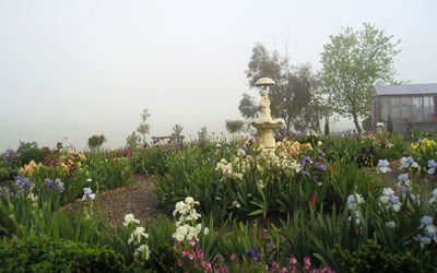 The Fountain surrounded by fog