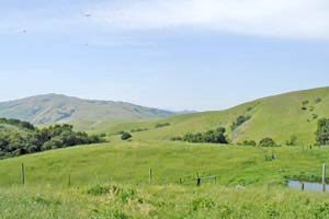 See more of the Ranch