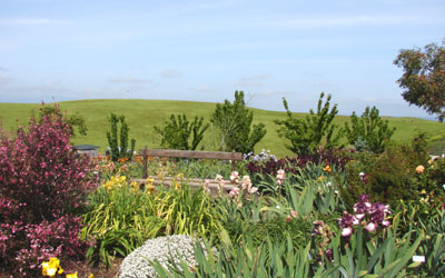 garden
