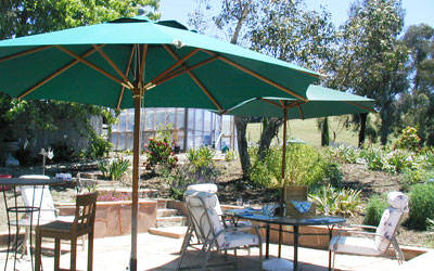 lunch on the patio