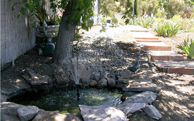 stroll in the shade