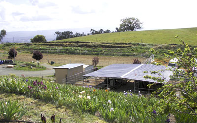 stables and arena