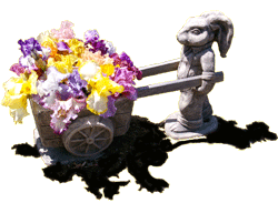 Even the bunny helps
