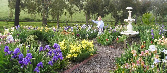 Nola in the garden