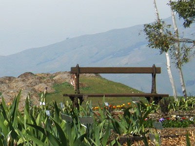 New York Bench